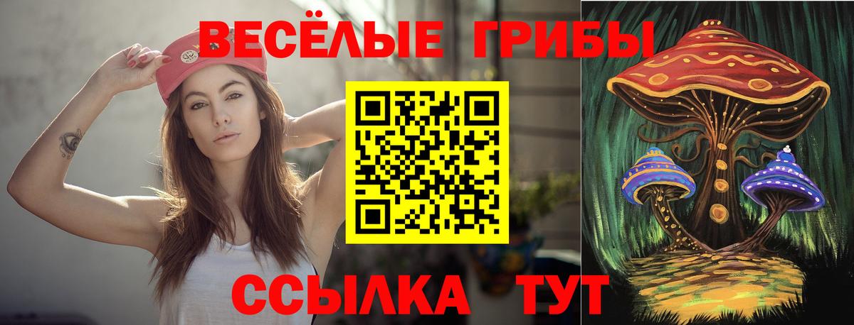 Зеленодольск  Псилоцибиновые грибы GOLDEN TEACHER  Вход с VPN 