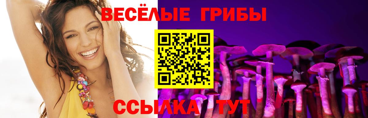 Псилоцибиновые грибы MAGIC MUSHROOMS Зеленодольск